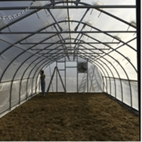 Inside the Greenhouse